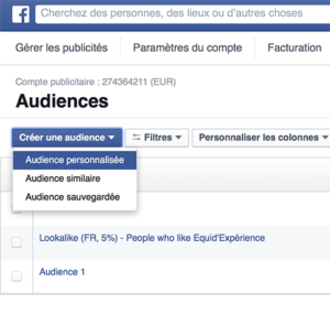 audience personnalisée facebook