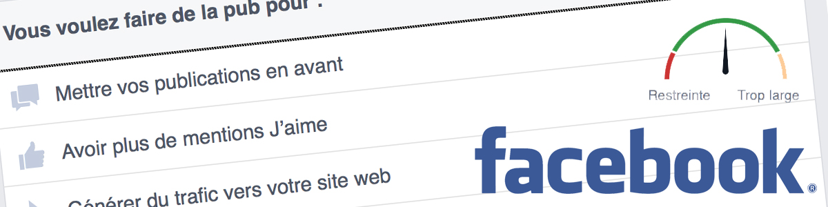 Facebook : options de ciblage publicitaire et audiences personnalisées